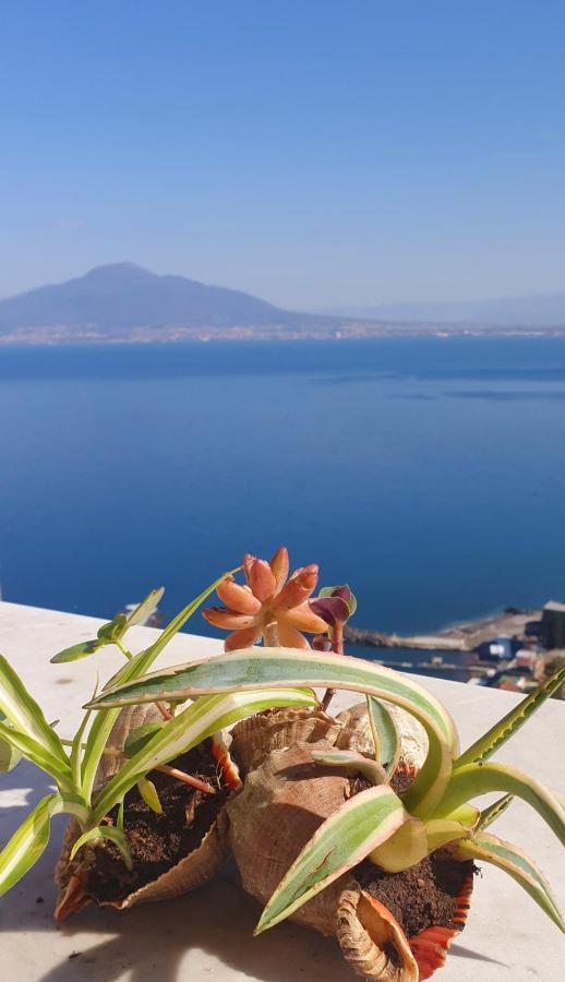 Dimora Del Conte Sorrento Coast Seaview Vico Equense Exterior foto